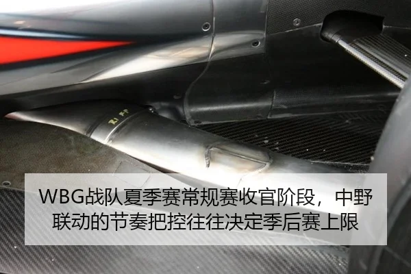 WBG战队夏季赛常规赛收官阶段，中野联动的节奏把控往往决定季后赛上限